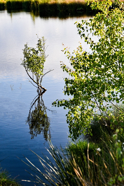 MZ8_0709.jpg