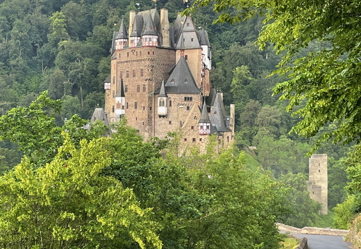 260528 Mosel Lieblingsdetail - Sabine