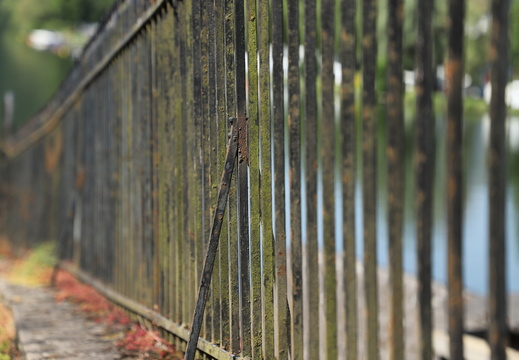 260528 Mosel Linien - Sabine 