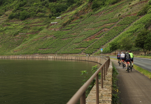 260528 Mosel Linien - Sabine 