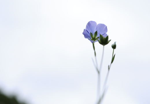 260830 High Key