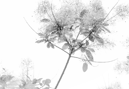 260830 High Key